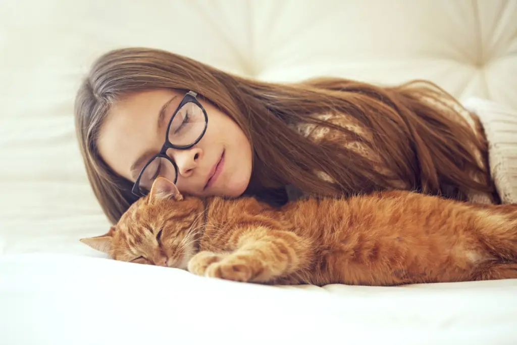 linfoma_felino_0.jpg