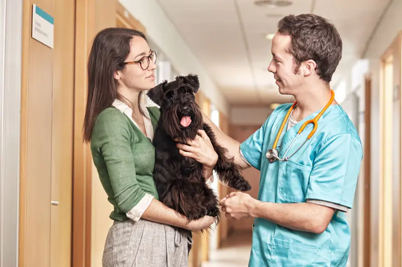 diarrea_con_sangue_cane_0.jpg