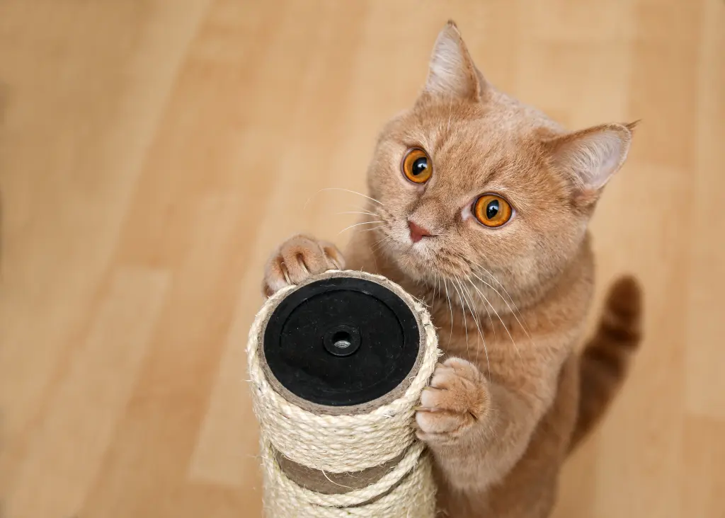 shutterstock_575080195_0.jpg