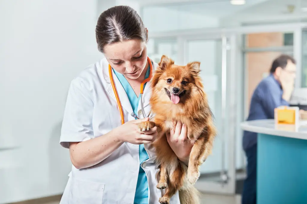 edema_polmonare_cane_0.jpg