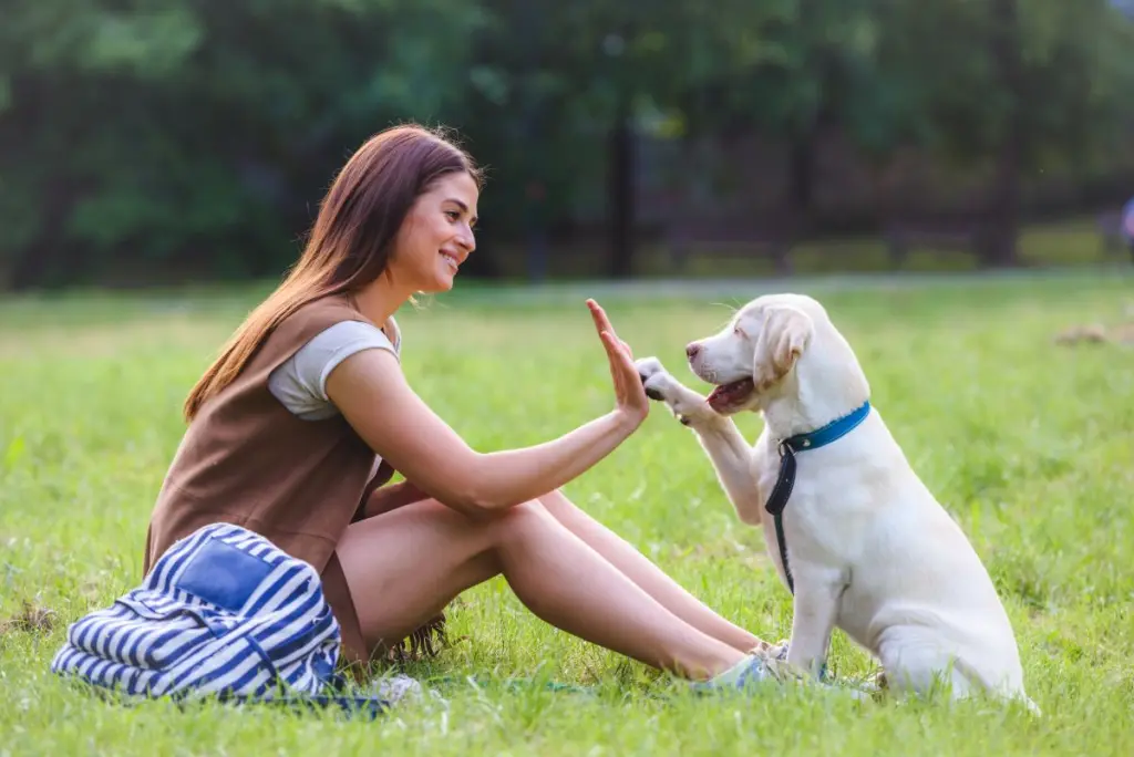 psicologia_canina_0.jpg