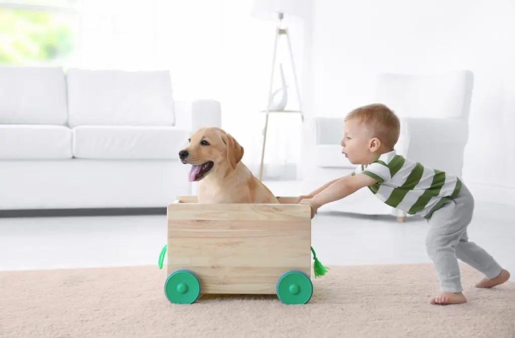 cani_e_bambini_0.jpg