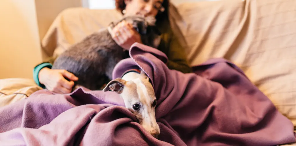 alimenti_ipoallergenici_per_cani.jpg