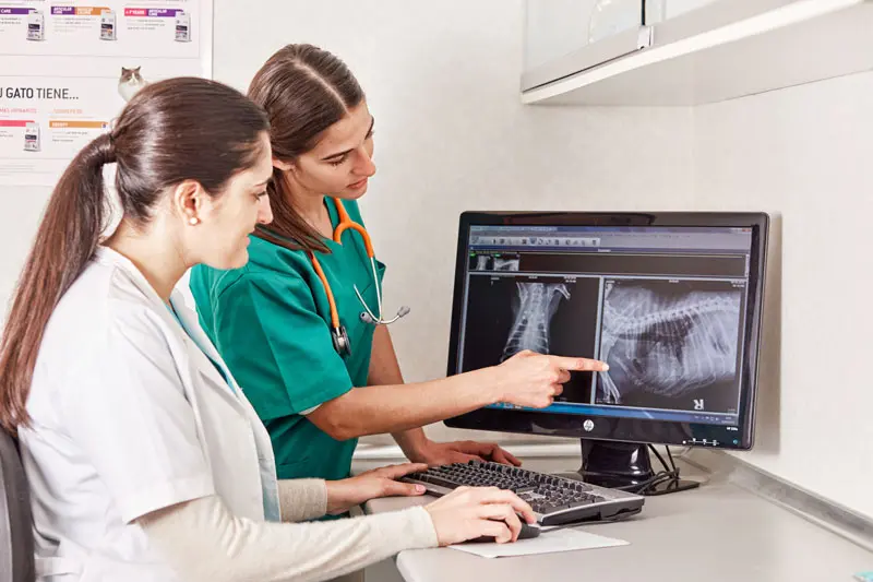 radiografias_perros.jpg