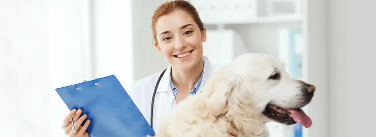 ingles_para_veterinarios.png