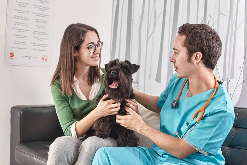 fosfatasi_alcalina_alta_nel_cane.jpg