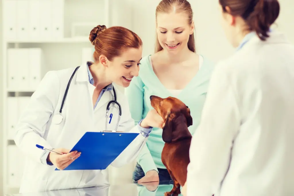 gastroenterite_nei_cani_0.jpg