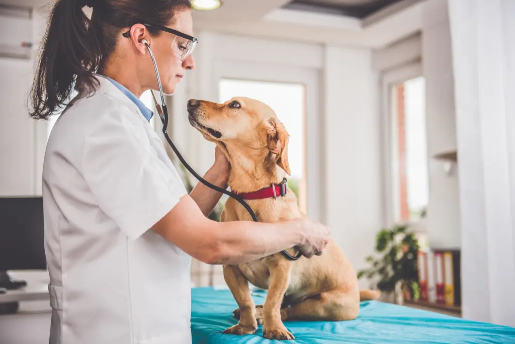 prodotti_veterinari_0.jpg