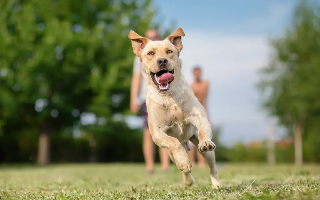 shutterstock_293900267_0.jpg