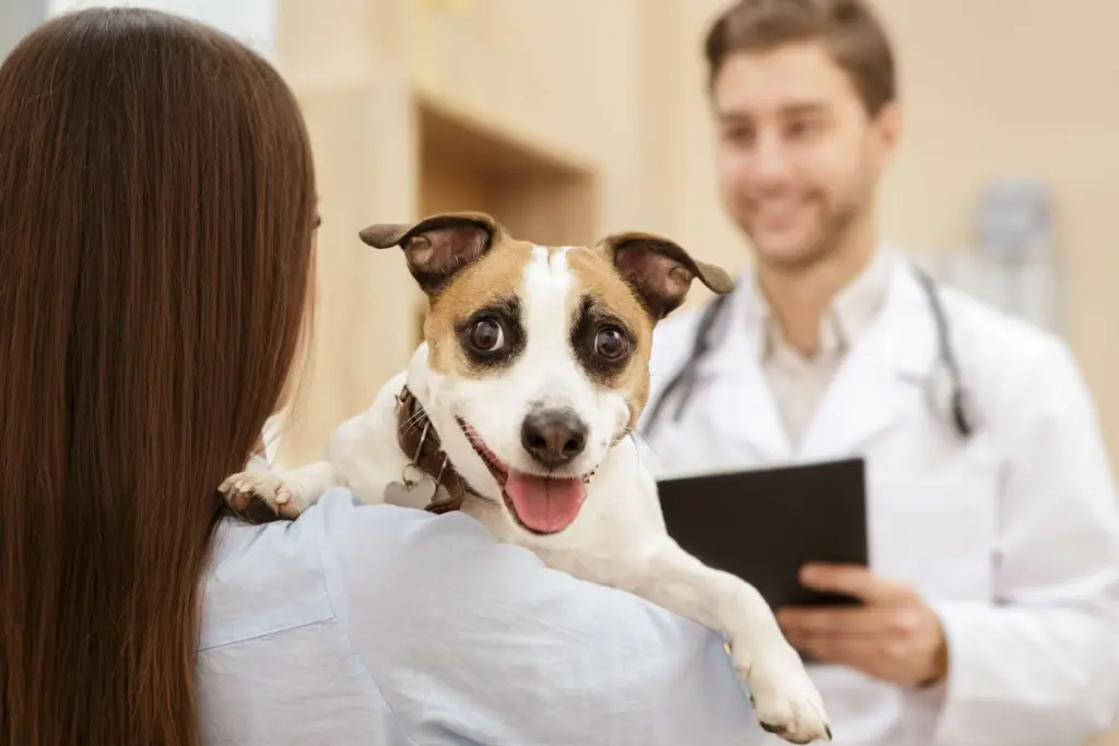 libri_veterinaria.jpg