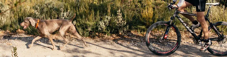 daniel-4838.jpg