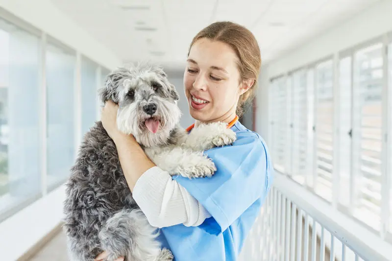 rabies_vaccination_in_dogs.jpg