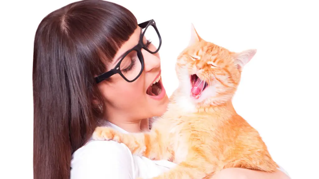 parvovirus-gatto-1.jpg