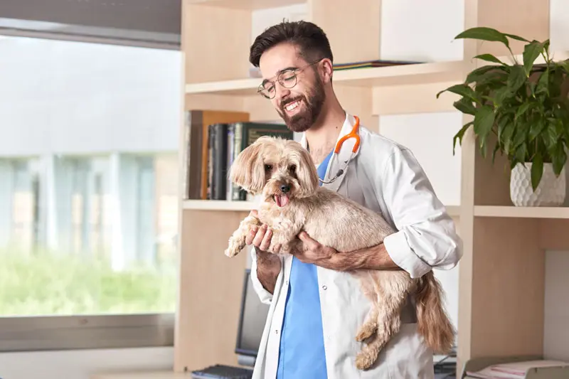 diarrea_cane_farmaci.jpg