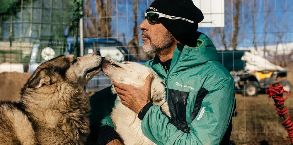 artrosi_nei_cani.jpg