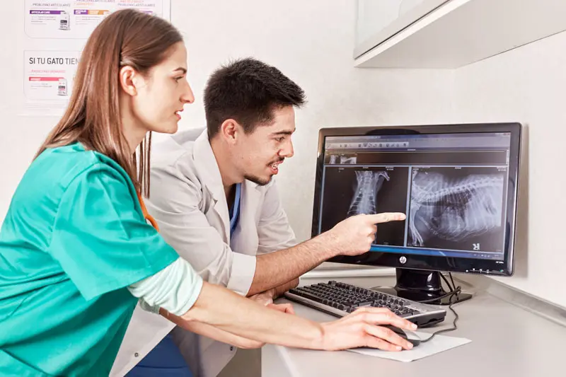 traumatologia_veterinaria_0.jpg