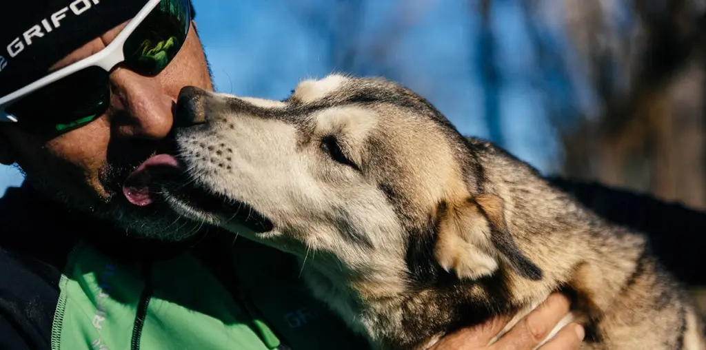prodotti_per_cani.jpg