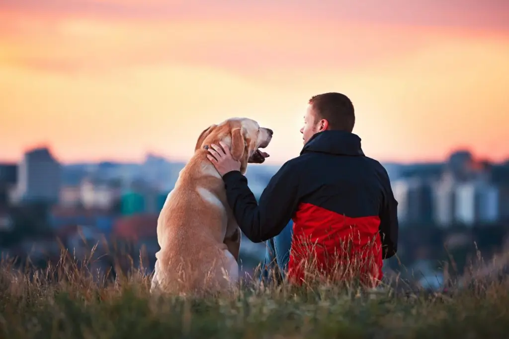 colite_nei_cani_0.jpg