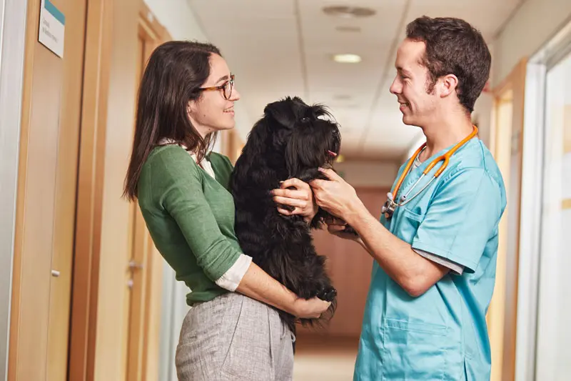 iperadrenocorticismo_cane_0.jpg