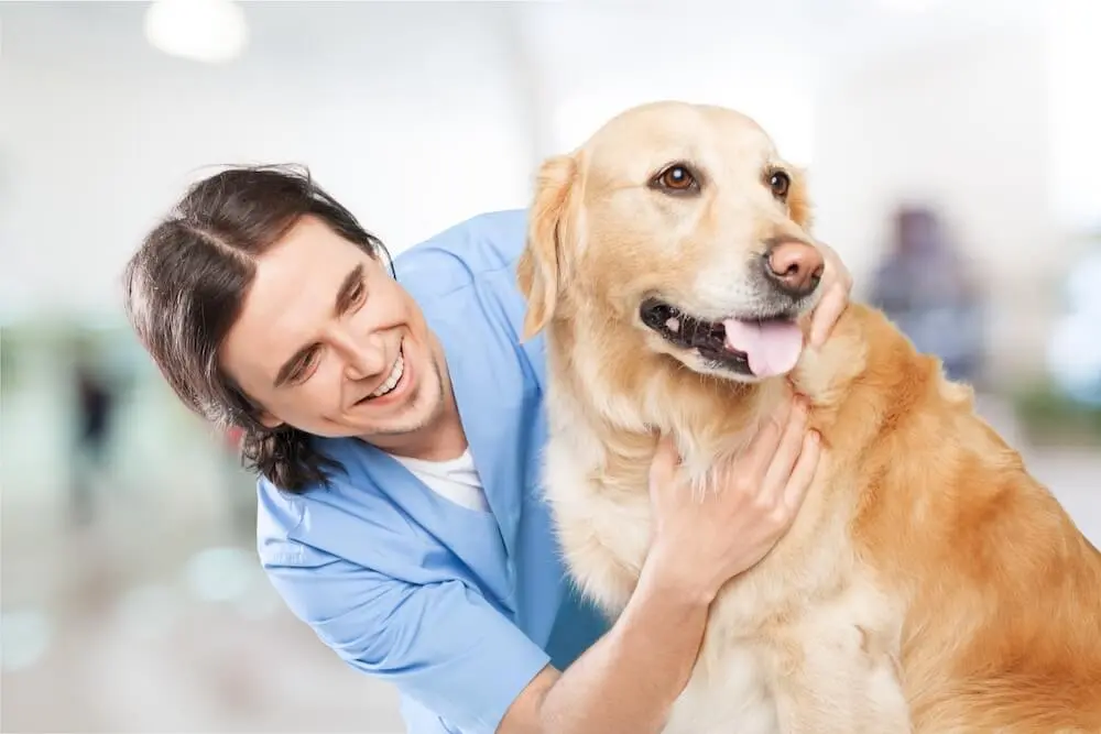 tumore_nei_cani_0.jpg