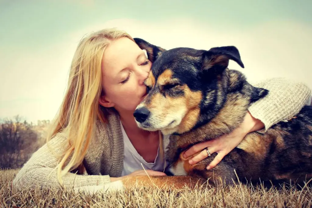 lupus-nei-cani.jpg